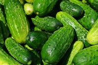 cucumbers-849269_1280
